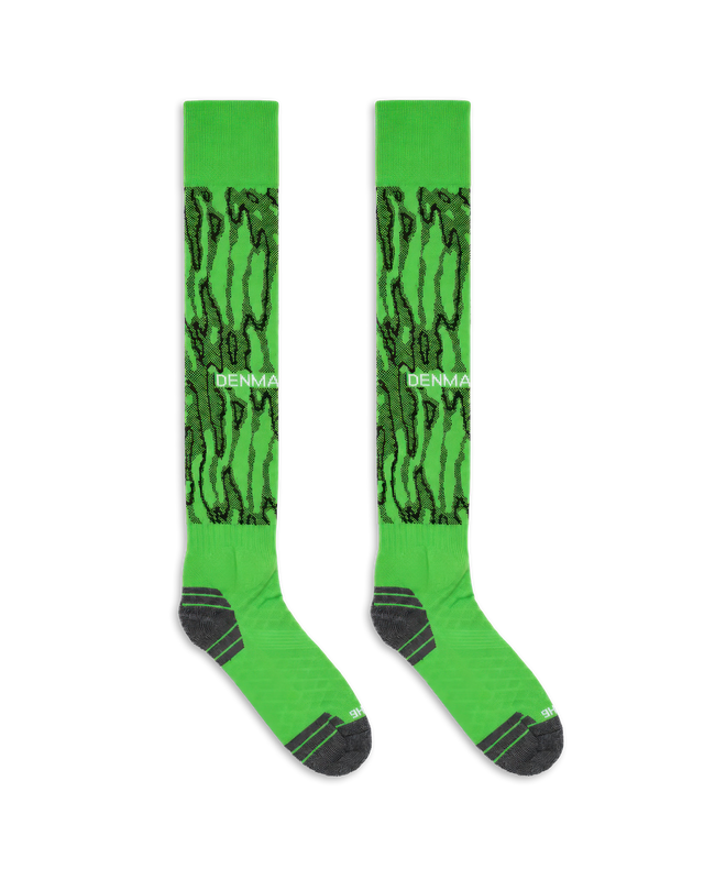 ALIS DBU-ALIS 26 FOOTBALL SOCK Socks GREEN