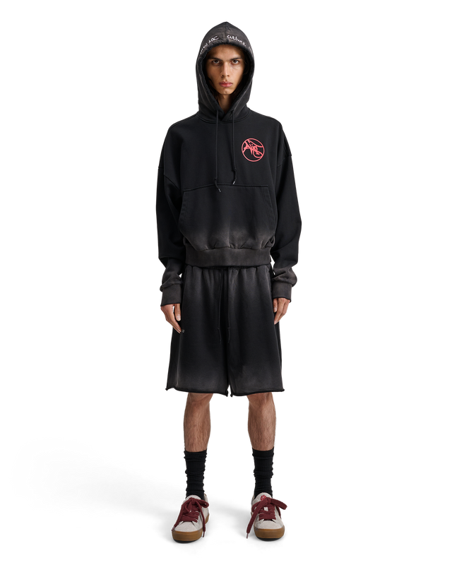 MALTO CROPPED HOODIE W/ PRINT image