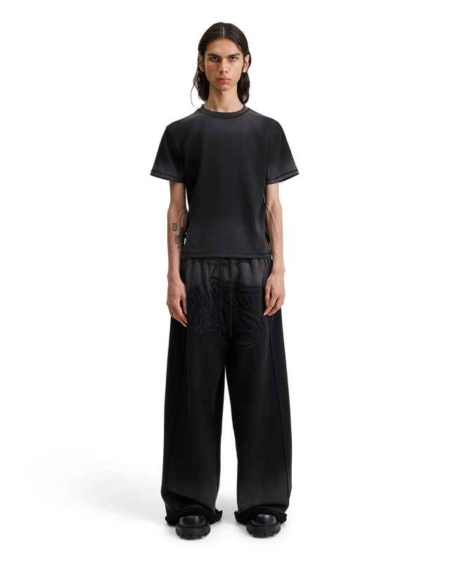 ALIS TOREY CROPPED T-SHIRT W/ PRINT T-shirt