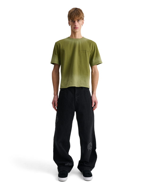 ALIS TOREY CROPPED T-SHIRT W/ PRINT T-shirt